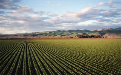 Investing In Farmland Helps Feed America